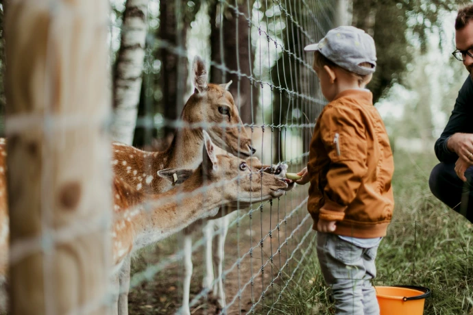 Greenville Zoo