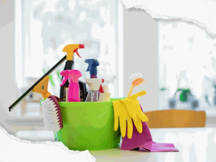 Maids and Cleaning Services